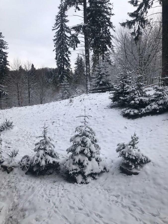 Fairytale Apartment Close To Bradu Ski Slope Poiana Brasov Esterno foto